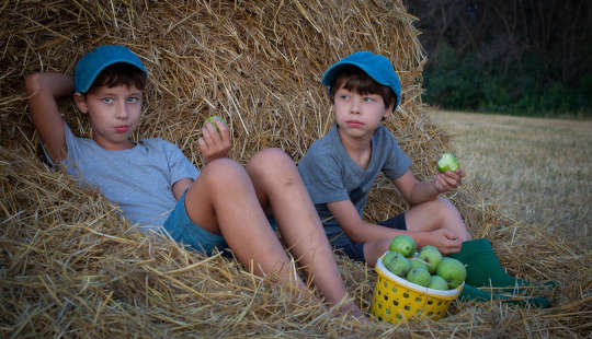 two young boys who were picking apples sitting by a haystack